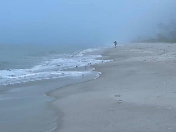 Découvrez le Meilleur Camping de Vias Plage pour des Vacances Inoubliables