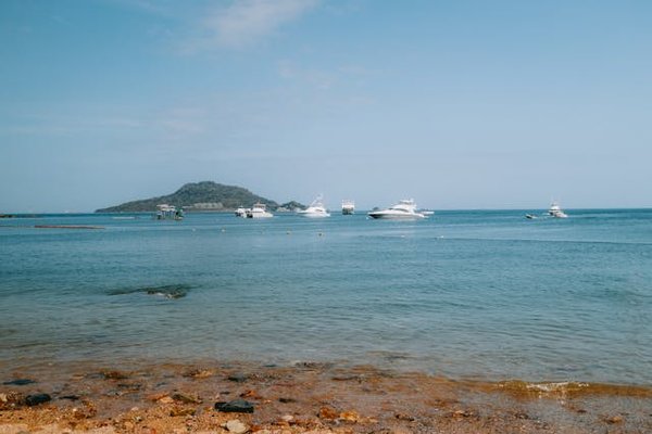 Découvrez le camping calme et paisible sur l'Île de ré