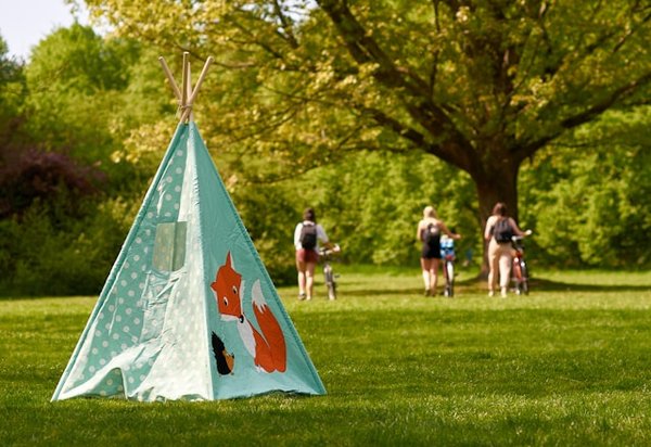 Guide ultime pour camper à Fontainebleau