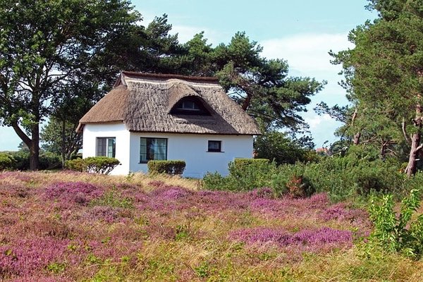 Quels sont les avantages de louer un gîte pour les vacances ?