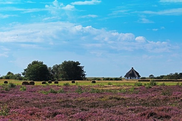 Quelles sont les activités à faire autour d'un gîte à la campagne ?