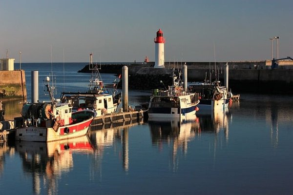 Votre guide ultime pour un camping inoubliable à Dolus-d'Oléron